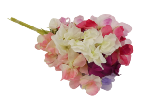 Sweetpea Spray Assorted x 12 Stems-0