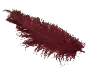 Ostrich Feathers Burgundy X 5-0