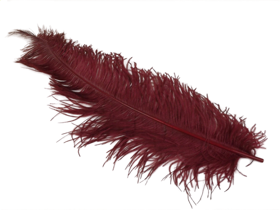 Ostrich Feathers Burgundy X 5-0