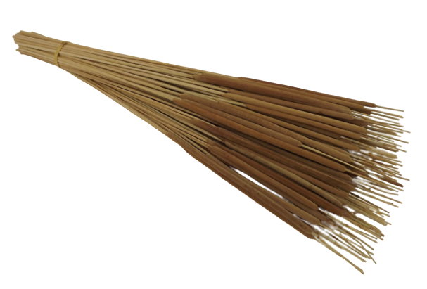 Typha Mini X 100 Stems App 75cm-0