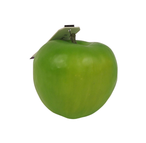 Apple W/Weight 7.5cm Green-0