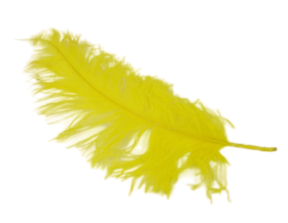 Ostrich Feathers Yellow x 5-0
