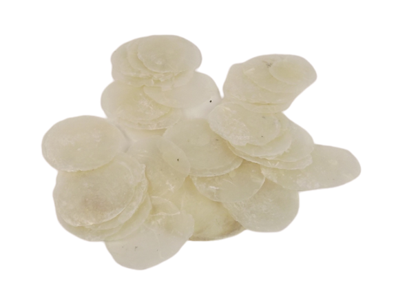 Shells - Camar 5-10cm Natural x 1kg-0