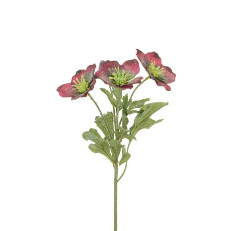 Iced Hellebore Spray 38cm Burgundy-0