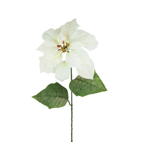 Velvet Poinsettia 75cm White-0