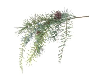 Cedar Asparagus Spray 51cm-0