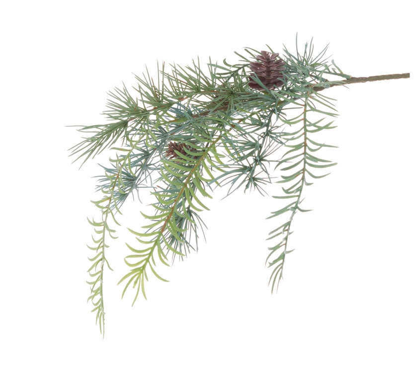 Cedar Asparagus Spray 51cm-0