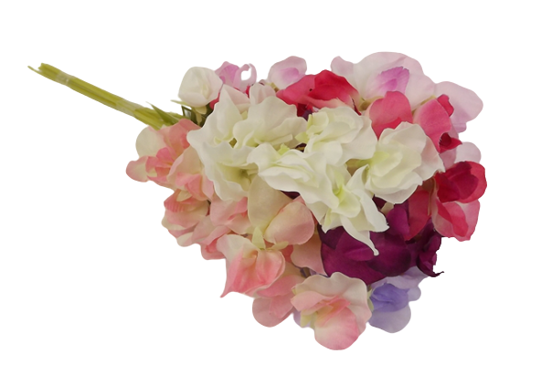 Sweetpea Spray Assorted x 12 Stems-0