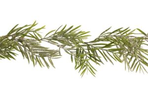 180cm Frosted Bamboo Garland Green-0