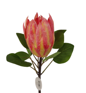 Protea 65cm Pink-0