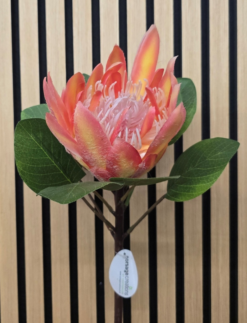 Protea 65cm Pink