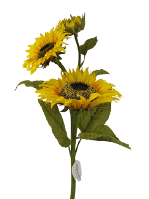 Sunflower Yellow/Green 88cm-0