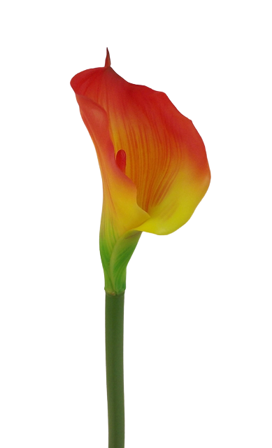 Real Touch Calla Lily 68cm Red/Yellow-0