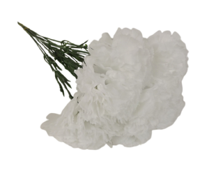 Bloom Carnations White x 12 Stems-0