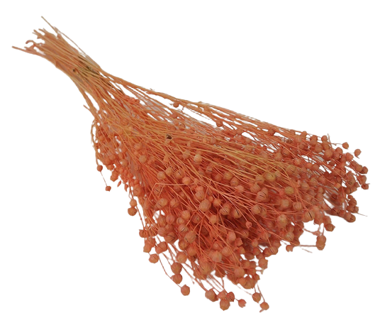 Flax Peach x 70g-0