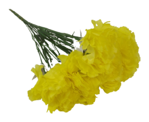 Bloom Carnations x 12 Stems Yellow-0