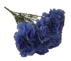Bloom Carnations x 12 Stems Royal Blue-0
