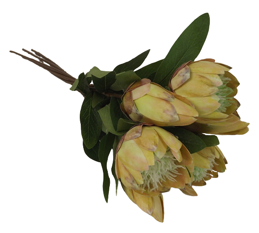 53cm Protea Bundle Natural-0