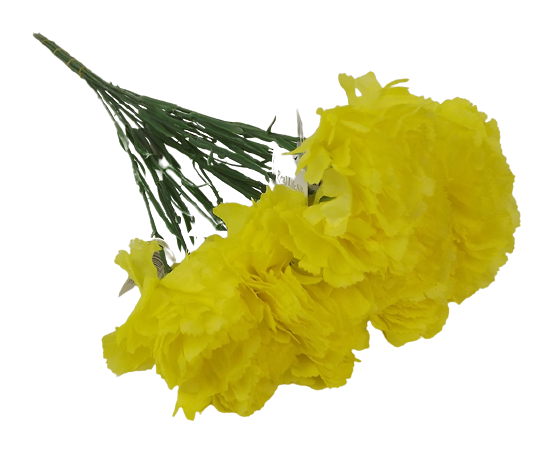 Bloom Carnations x 12 Stems Yellow-0