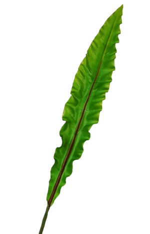 90cm Asplenium Leaf-0
