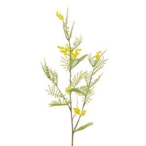 Mimosa Spray 87cm-0