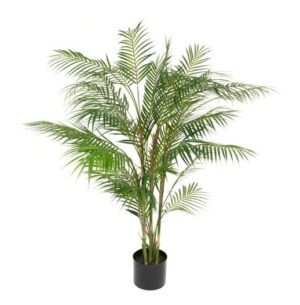 Areca Palm in pot - 120cm-0