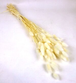 Lagarus/Bunny Tails Bleached Super White x 50g-0