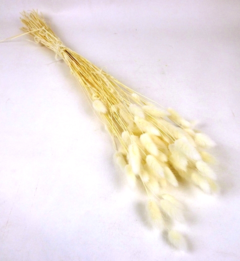 Lagarus/Bunny Tails Bleached Super White x 50g-0