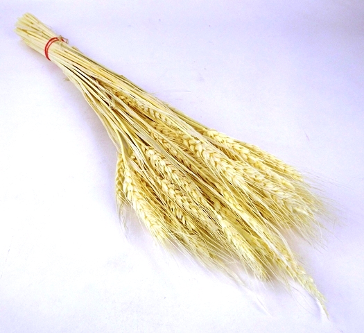Barley Bleached Bunch
