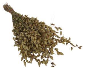Briza Maxima Natural 50g-0