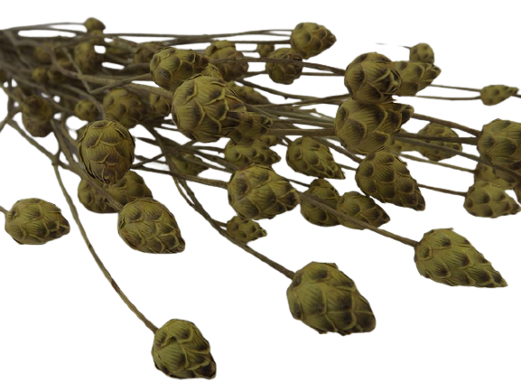 Mini Artichoke Bunch Natural-21609