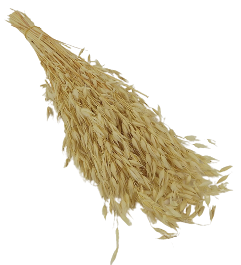 Oats Bunch Bleached-0
