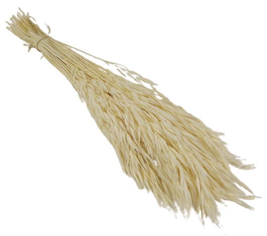 Avena Sativa (Oats) - White x 200g-0