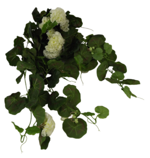 Geranium Bush Vines Cream-0
