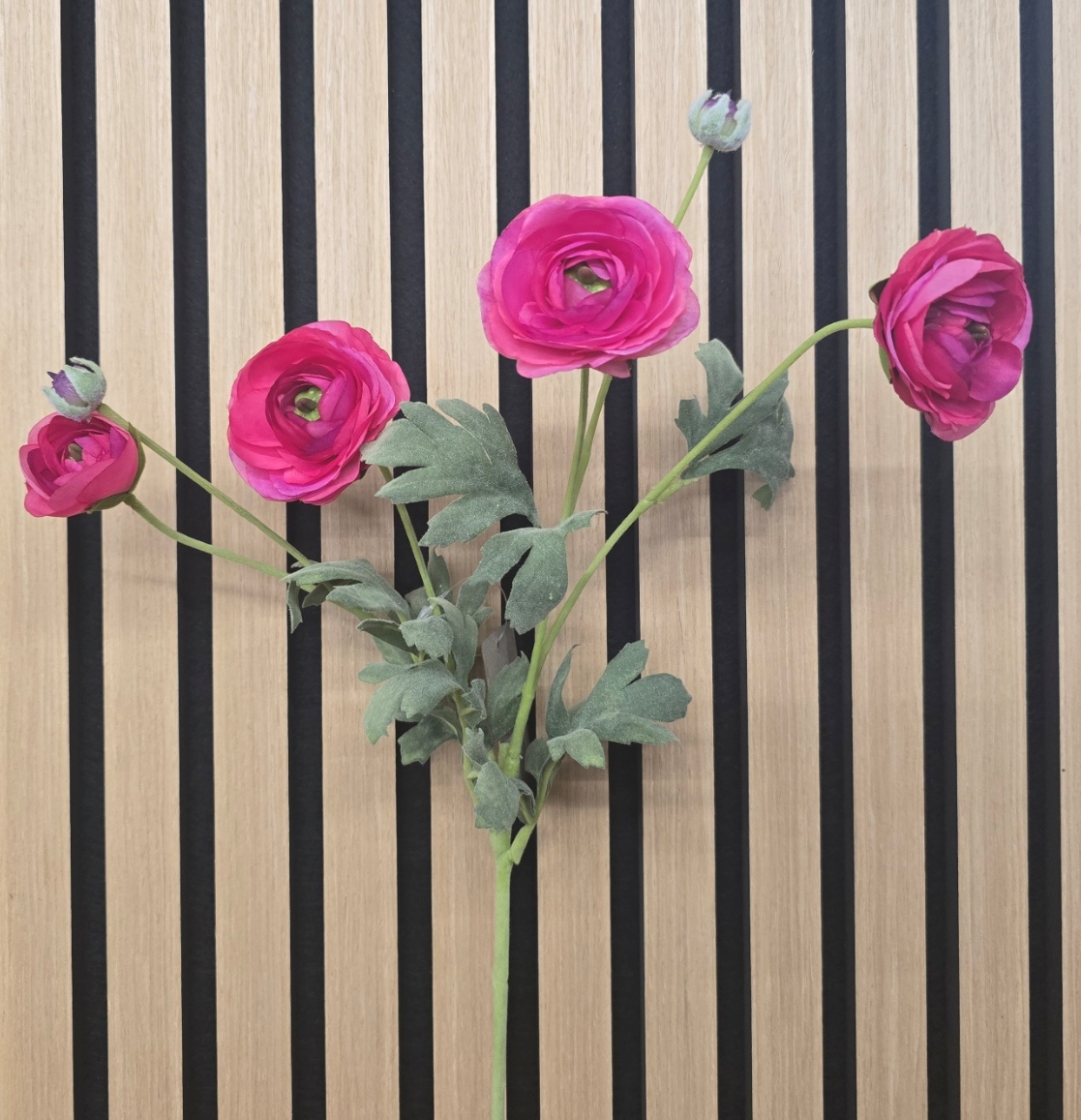 ECO Ranunculus Spray 67cm Beauty