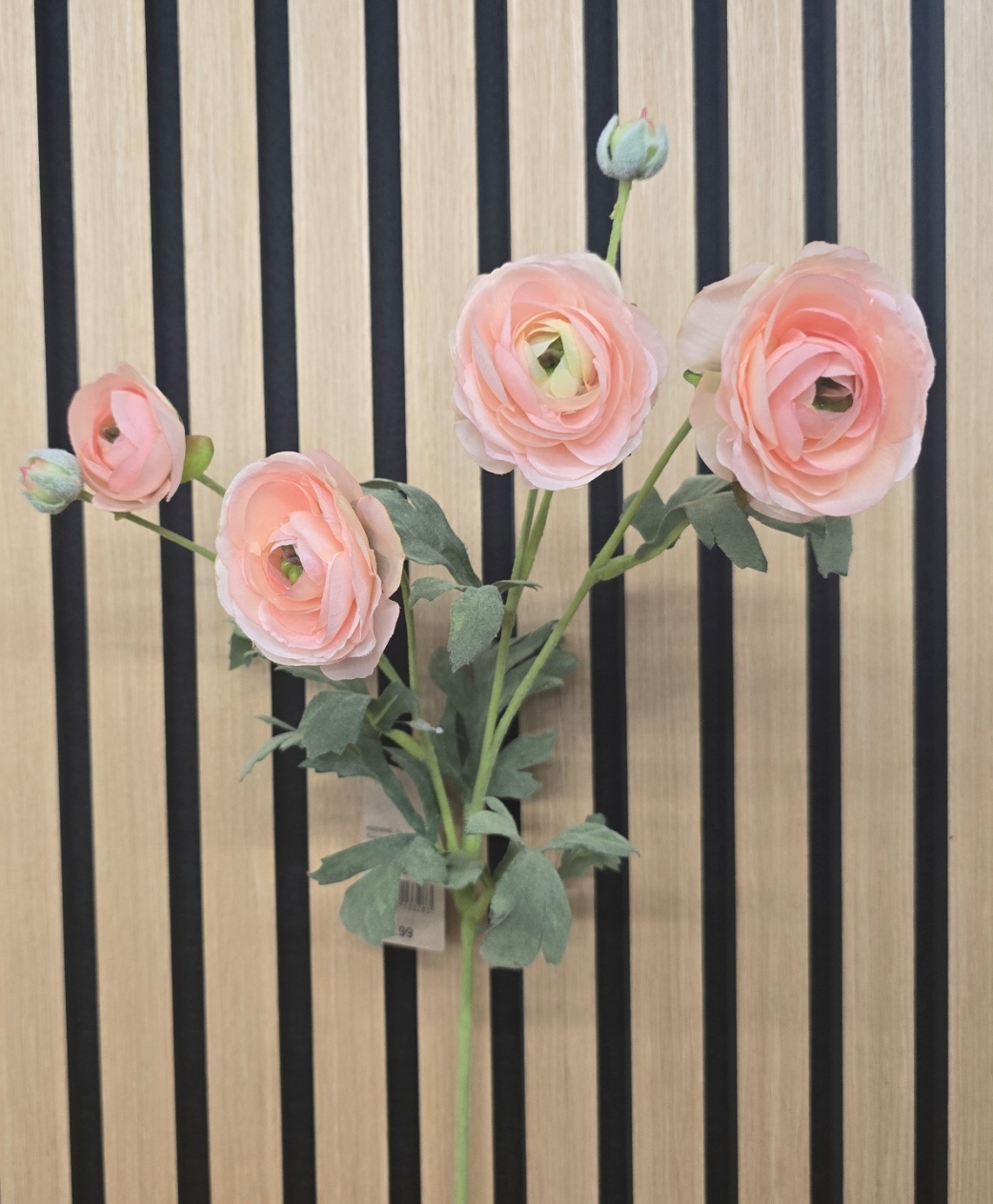 ECO Ranunculus Spray 67cm Peach