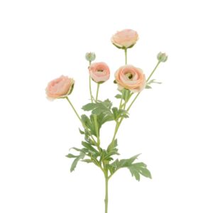 ECO Ranunculus Spray 67cm Peach