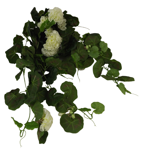 Geranium Bush Vines Cream-0