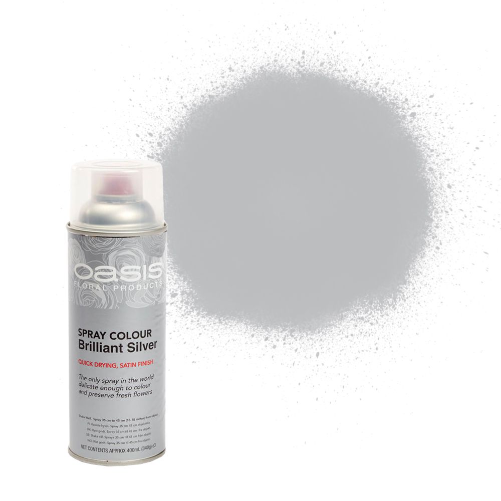 OASIS® Spray Colour Brilliant Silver-0