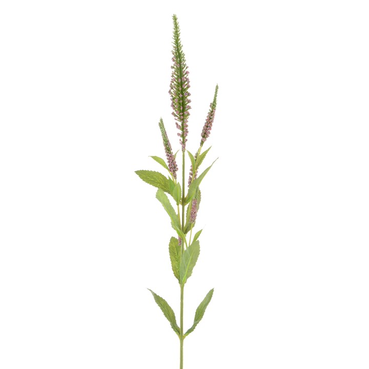Veronica Spray 72cm Pink-0
