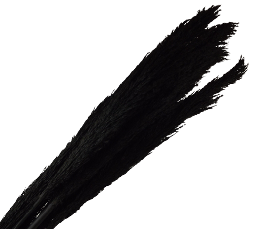 Cana Silvestre - Black x 6pcs-0