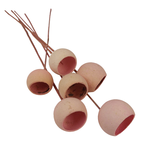 50cm Bell Cup Stem Pink-0