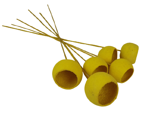 50cm Bell Cup Stem Yellow-0