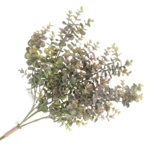 Eucalyptus Bundle - Green/Brown (3 stems, 64cm long)-0