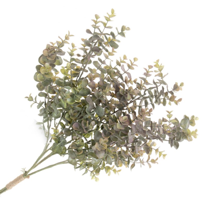 Eucalyptus Bundle - Green/Brown (3 stems, 64cm long)-0