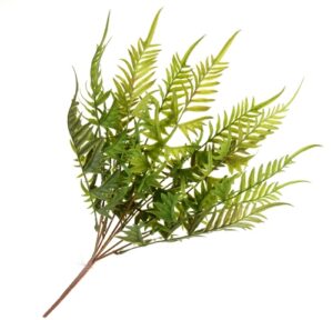 Fern Bush - Green (50cm long)-0