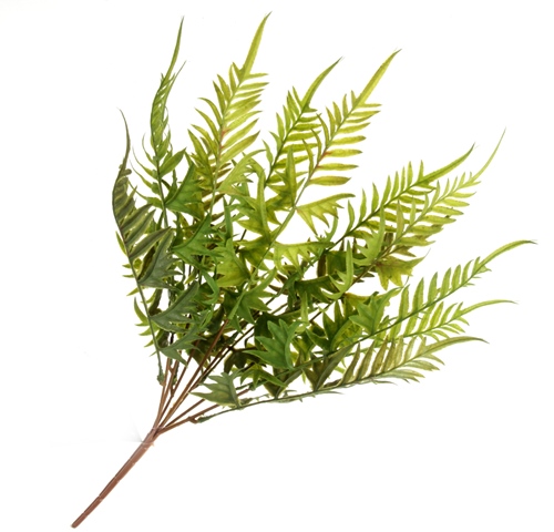 Fern Bush - Green (50cm long)-0