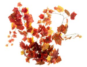 Grape Ivy Bush Red/Orange 100cm W/159 Leaves
