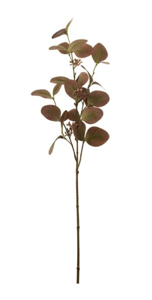 75cm Seeding Eucalyptus Purple-0