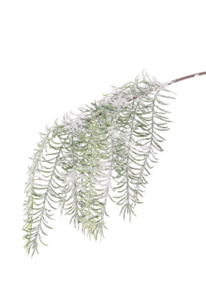 Snowy Asparagus Spray 58cm-0